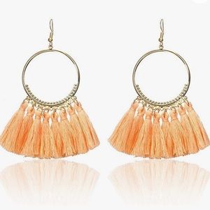 NWT Delicate Fringe Hoop Earrings